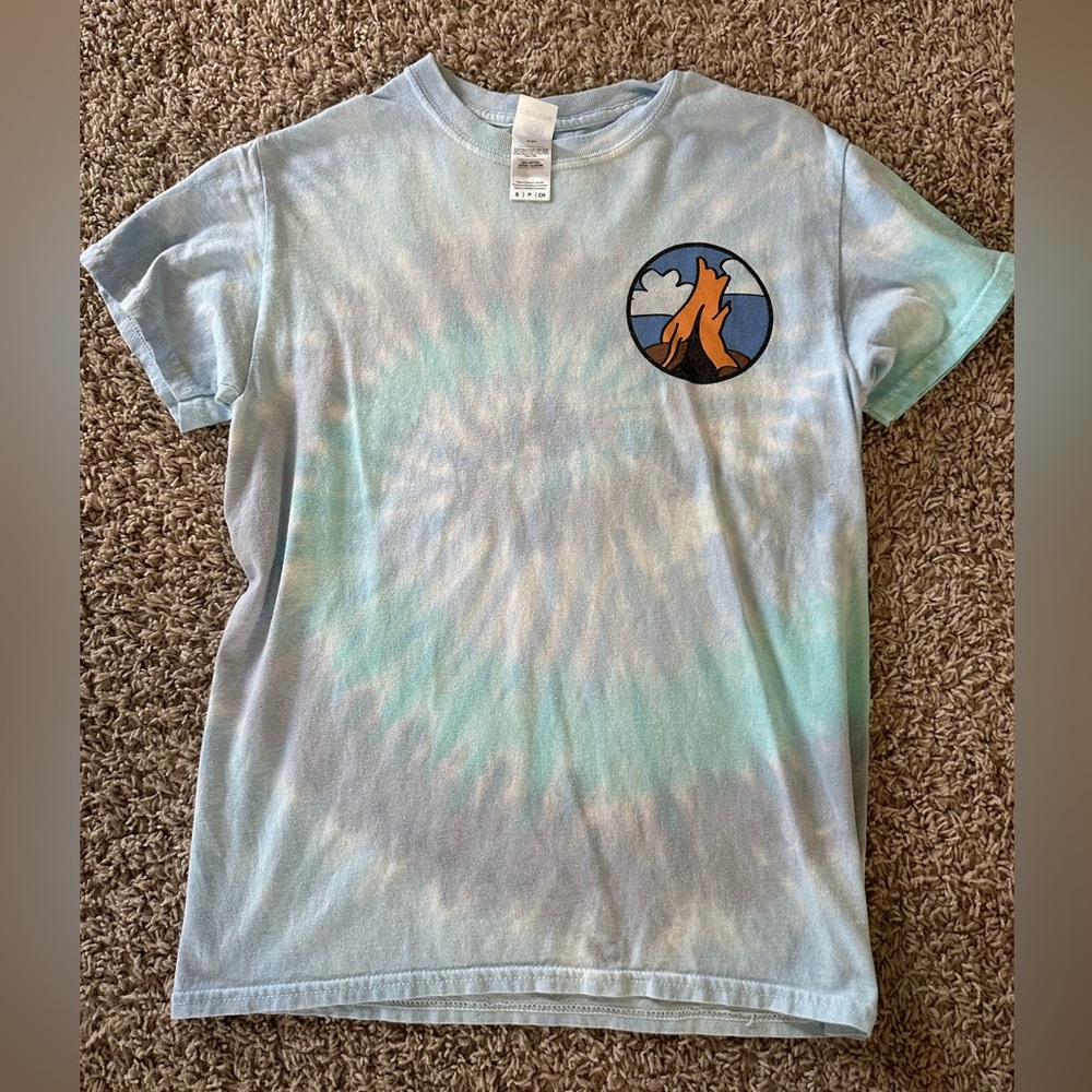 Zip a Dee Doo Dah Splash Mountain t shirt
